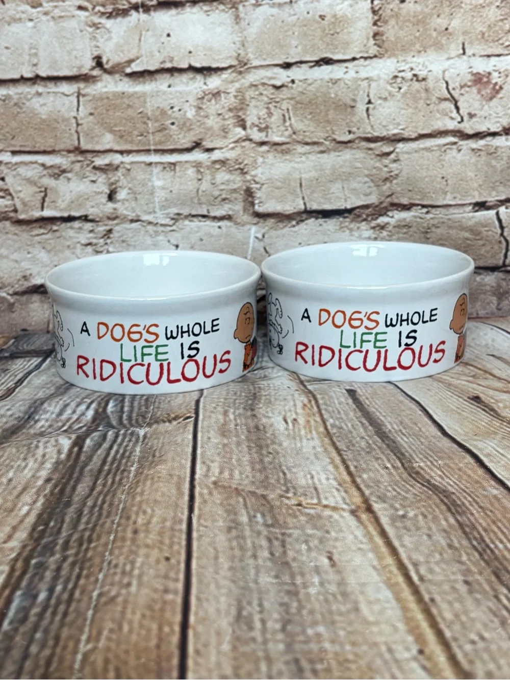 Peanuts Snoopy Charlie Brown Dog Cat Ceramic Pet Food Water Bowls Set 4.5